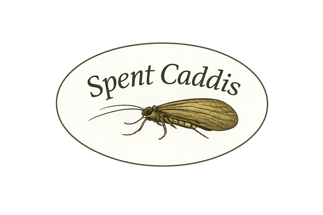 Spent Caddis